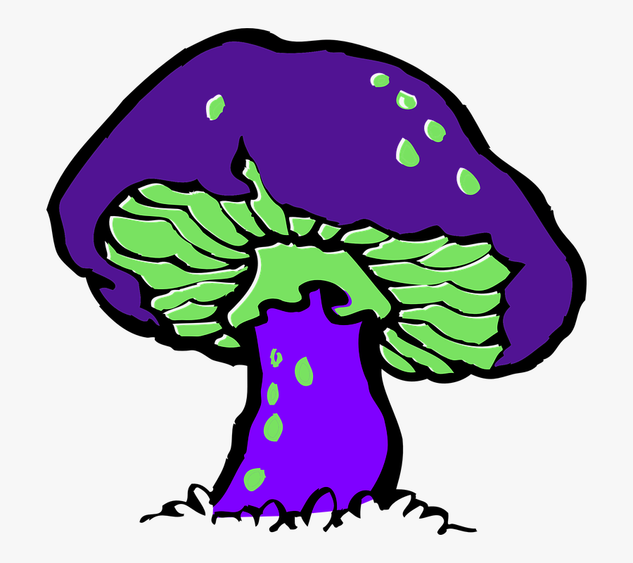 Mushroom, Poisonous, Green, Purple, Fungus, Poison - Fungi Clipart, Transparent Clipart