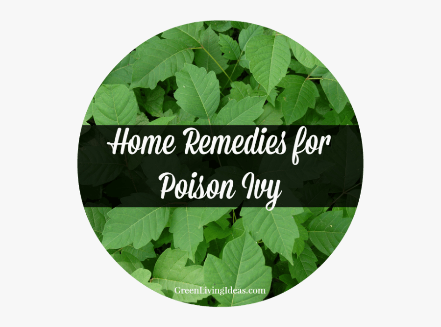 Clip Art Home Remedies For How - Remedy, Transparent Clipart