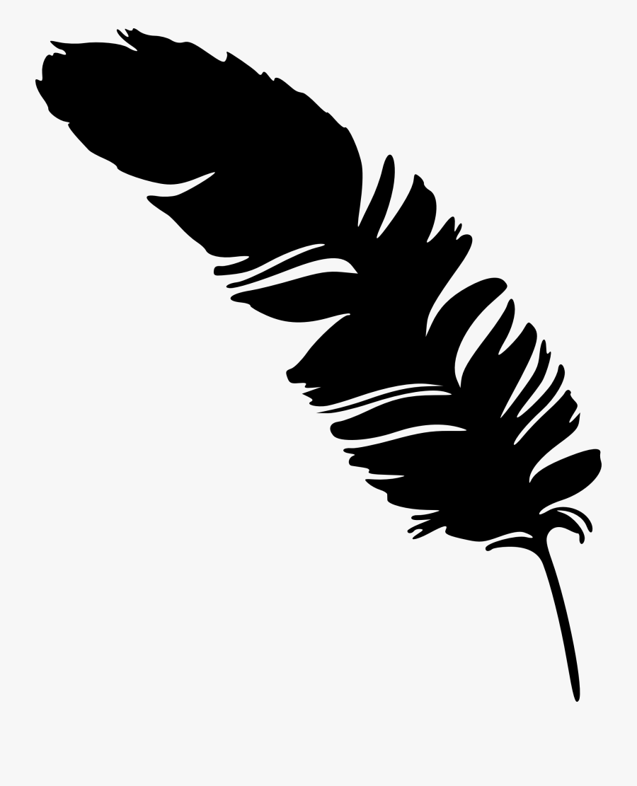 Transparent Plant Transparent Png - Transparent Background Feather Png Vector, Transparent Clipart