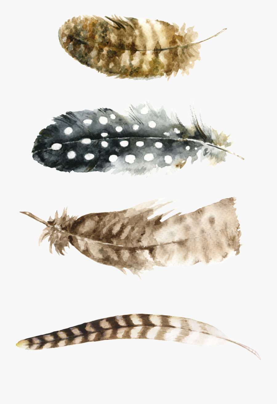 Watercolor Feather Free Printable, Transparent Clipart