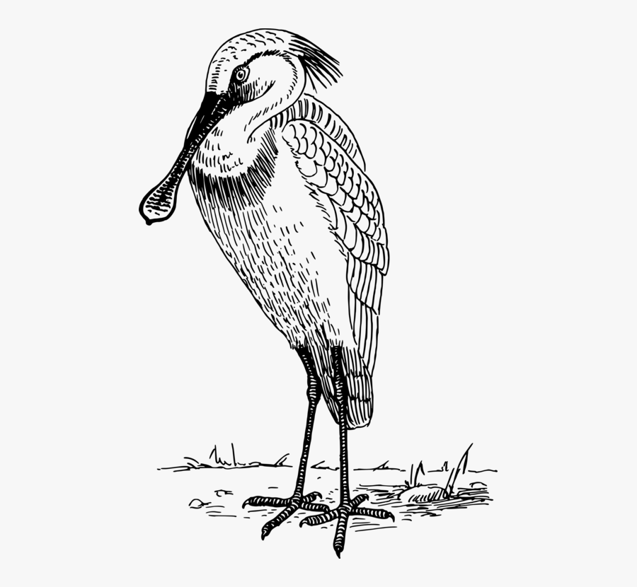 Art,monochrome - Drawing, Transparent Clipart