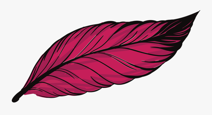 Pen, Feathers, Bird, Animal, Beautiful, Peacock - Png Red Feather, Transparent Clipart