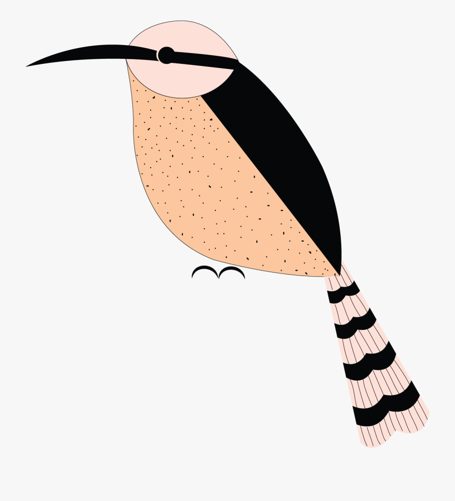 Flightless Bird, Transparent Clipart