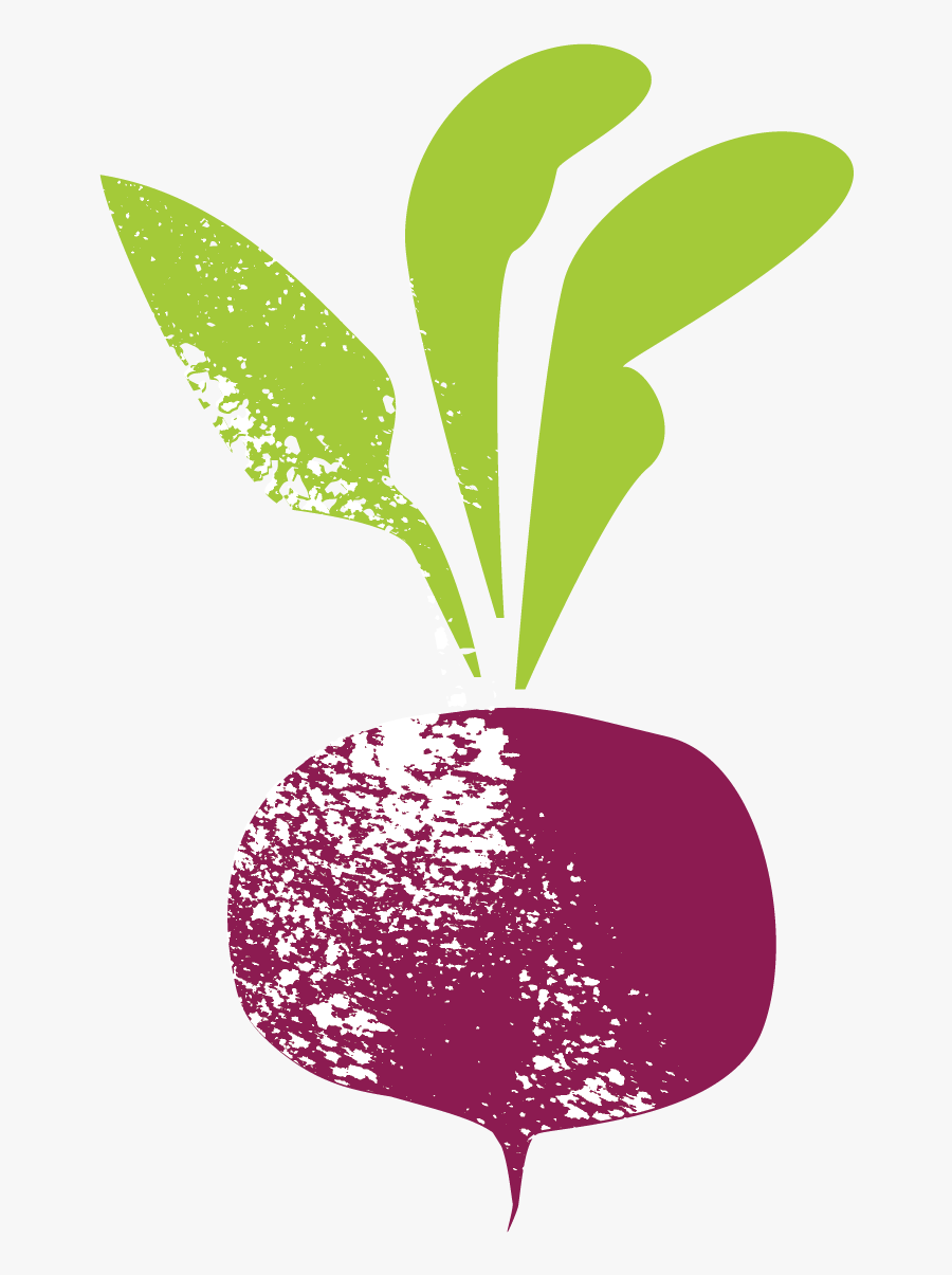 Please Don"t Beet Yourself Up About It - Illustration, Transparent Clipart