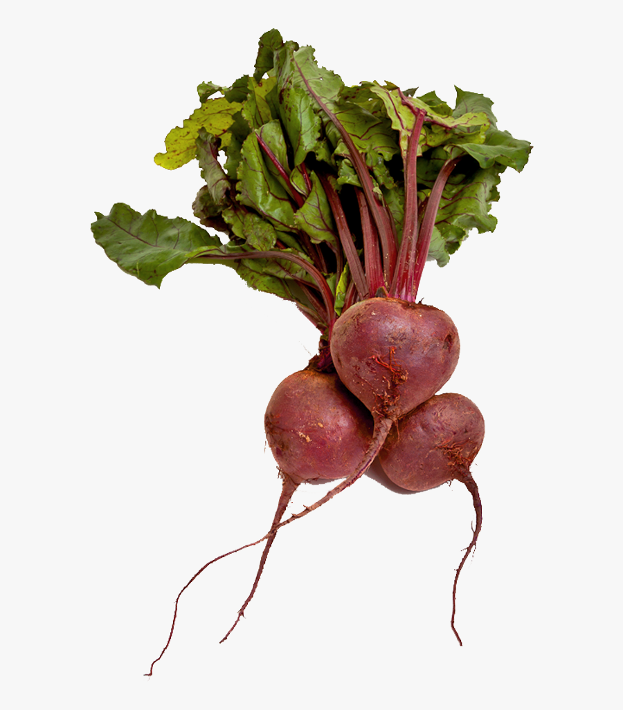 Transparent Turnip Clipart - Beets Transparent Background, Transparent Clipart