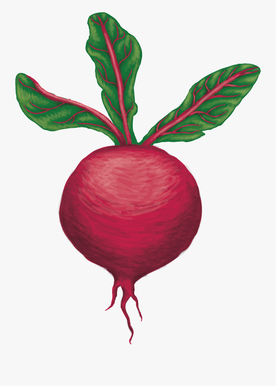 Beet Greens, Transparent Clipart