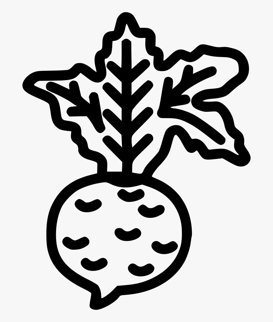Vegetable Beet Root Radish Healthy, Transparent Clipart