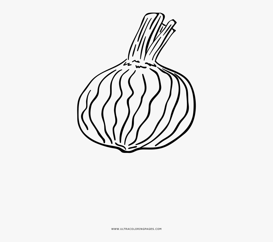 Beet Coloring Page - Pumpkin, Transparent Clipart