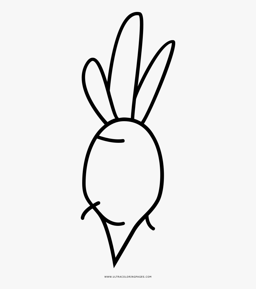 Beet Coloring Page - Line Art, Transparent Clipart