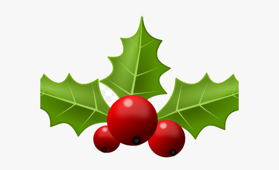 Holly Leaf Portable Network Graphics Clip Art Free - Transparent ...