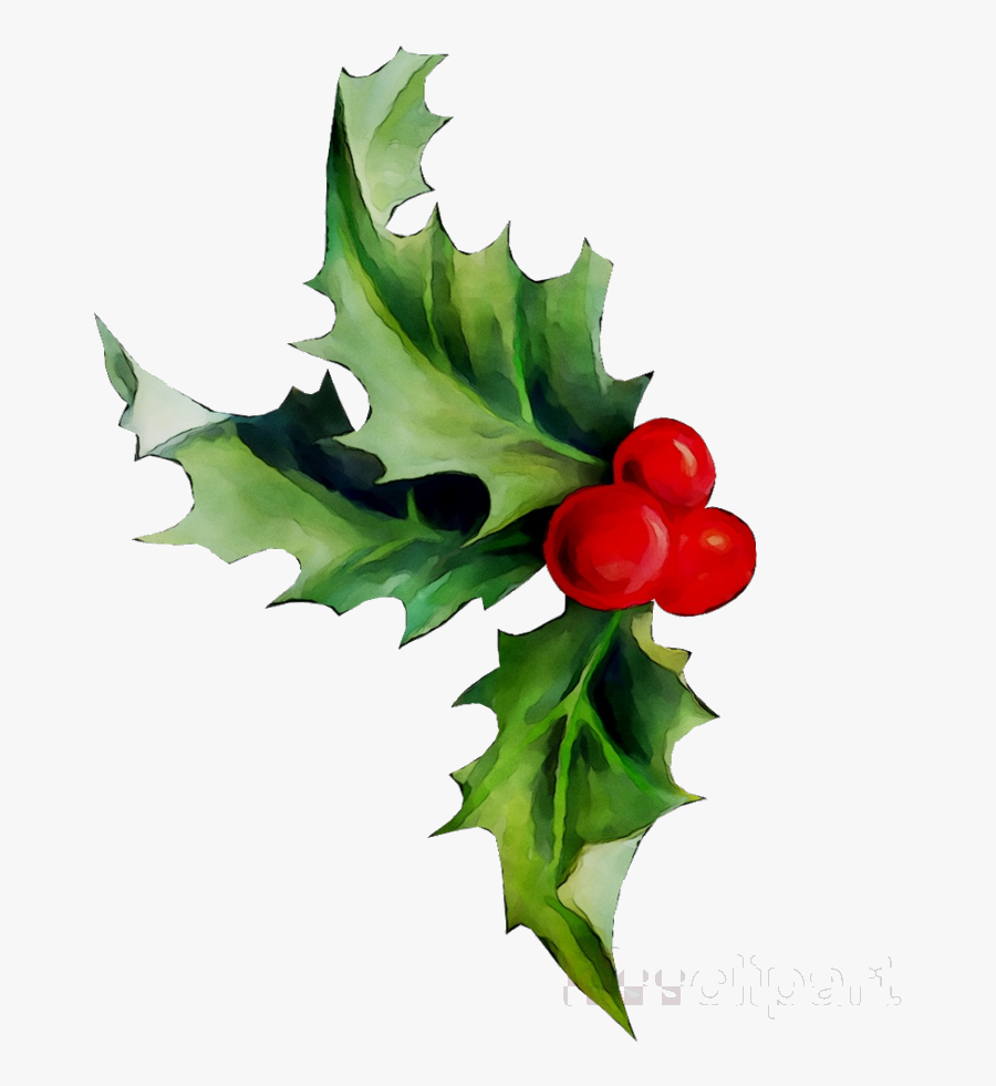 Holly Leaf Plant Flower Transparent Image Clipart Free - Artificial Flower, Transparent Clipart