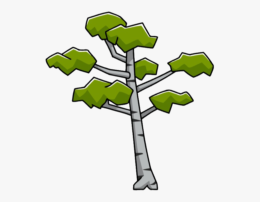 Birch Tree-0, Transparent Clipart