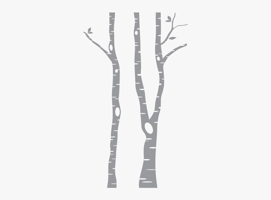Birch Tree Clip Art, Transparent Clipart