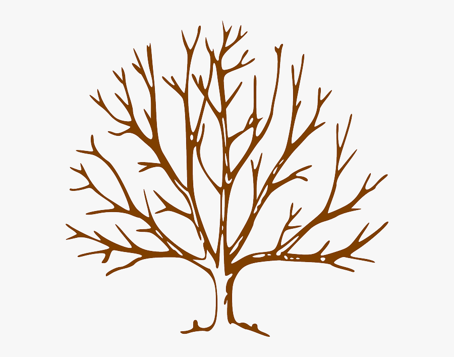Trees - Brown Tree Without Leaves, Transparent Clipart