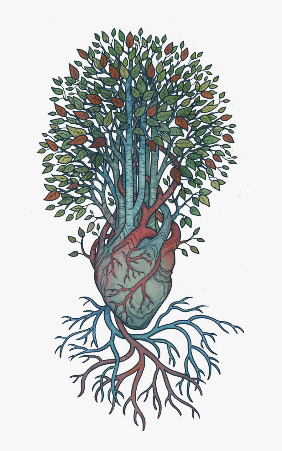 Illustration, Transparent Clipart