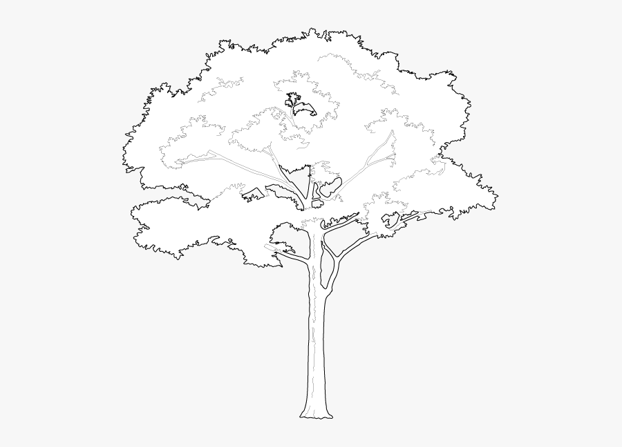 Tree Vector Png White, Transparent Clipart