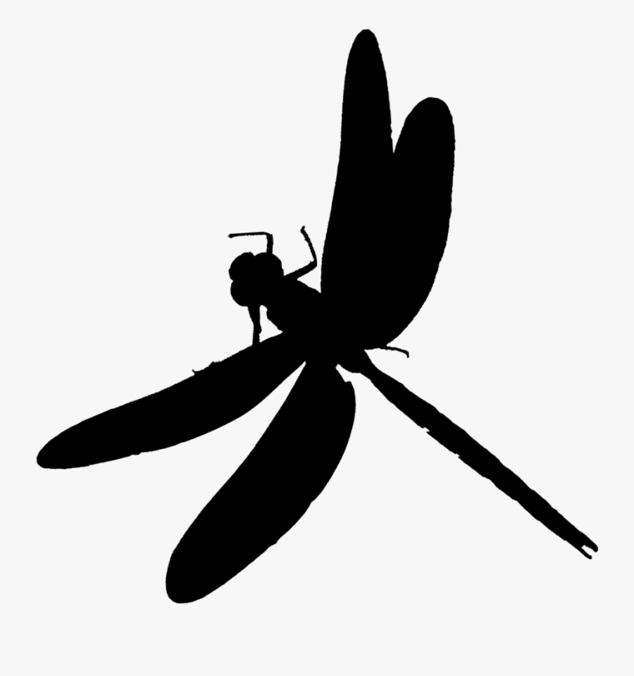 Insect Clip Art Silhouette Pollinator Dragonfly - Net-winged Insects, Transparent Clipart