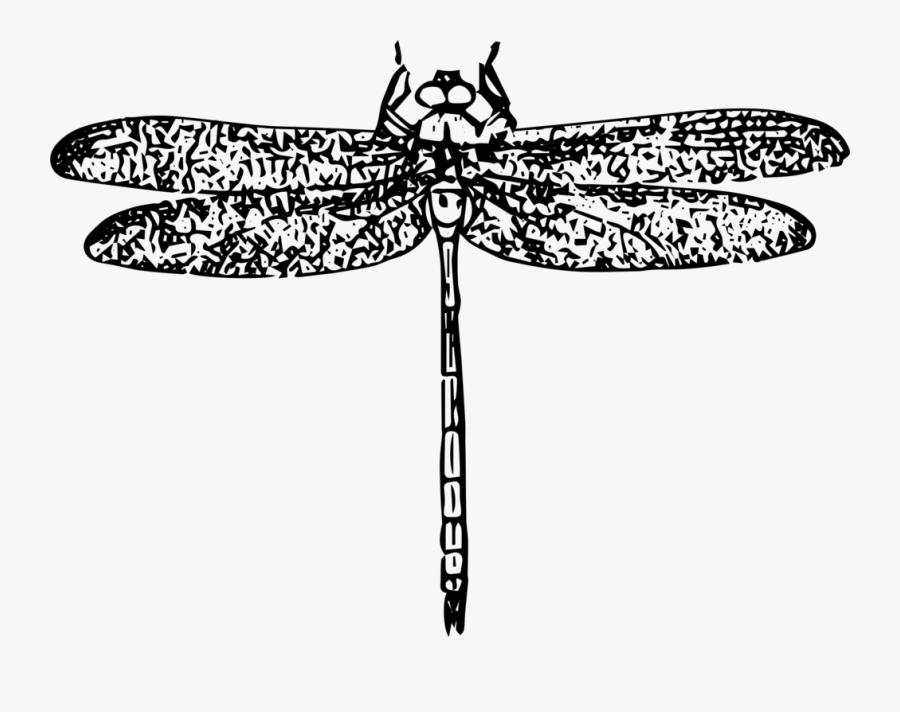 Symmetry,monochrome Photography,pollinator - Capung Sketsa, Transparent Clipart