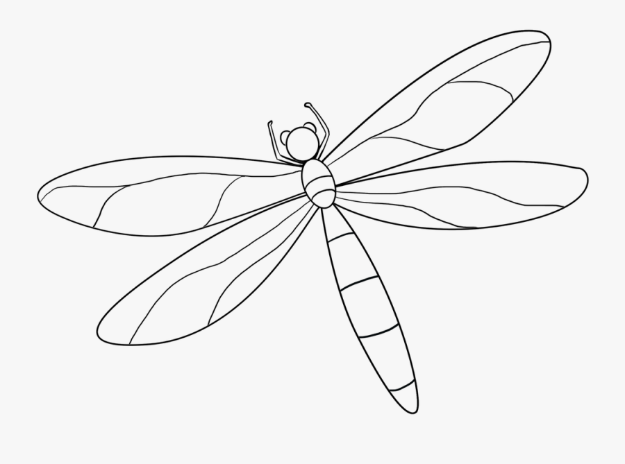 Dragonfly Drawing Beautiful Image - Dragonfly, Transparent Clipart