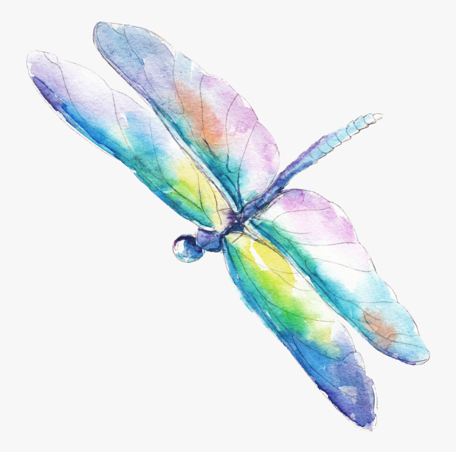 Water Color Dragonflies Vector - Royalty Free Watercolor Dragonfly, Transparent Clipart