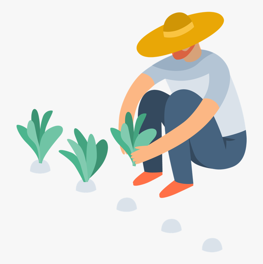 Illustration, Transparent Clipart