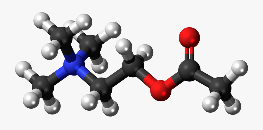 Methionine Ball And Stick, Transparent Clipart