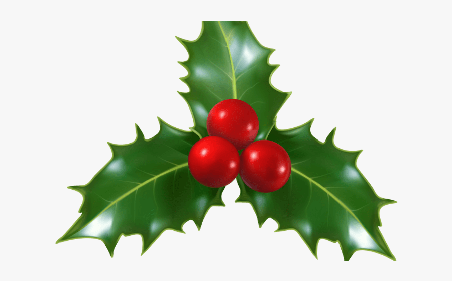 Mistletoe Clipart Transparent, Transparent Clipart