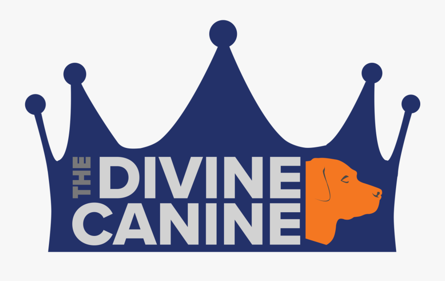 Dogs Of The Month Benson Winnie Divine, Transparent Clipart