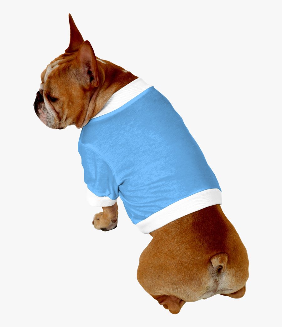 Clip Art Boxer French Bulldog - Dog, Transparent Clipart