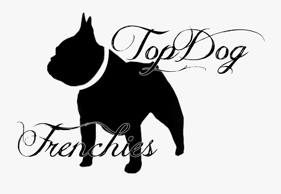 Transparent French Bulldog Png - Guard Dog, Transparent Clipart