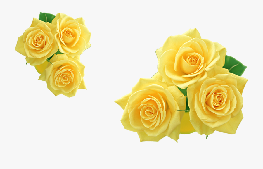 Rose Yellow Flower Clip Art - Yellow Rose Flower Png, Transparent Clipart