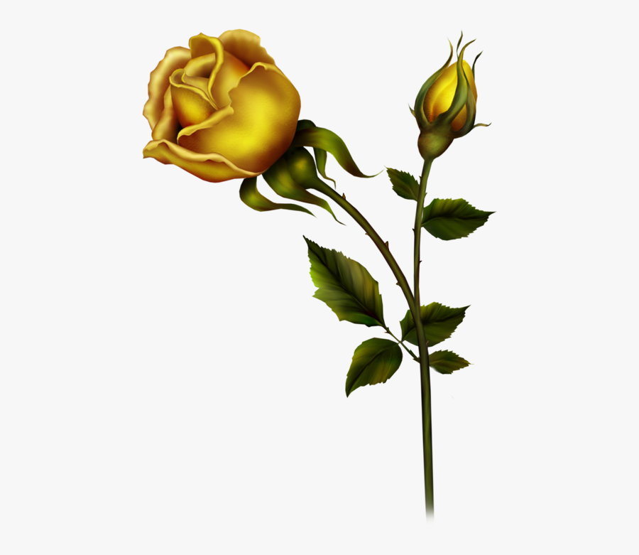 Yellow Rose With Bud Png Clipart - Bud Clipart, Transparent Clipart