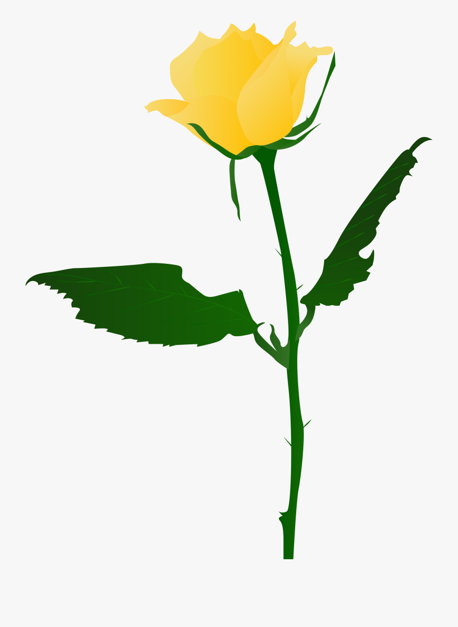 Transparent Rose Png - Transparent Flowers Hand Drawn, Transparent Clipart