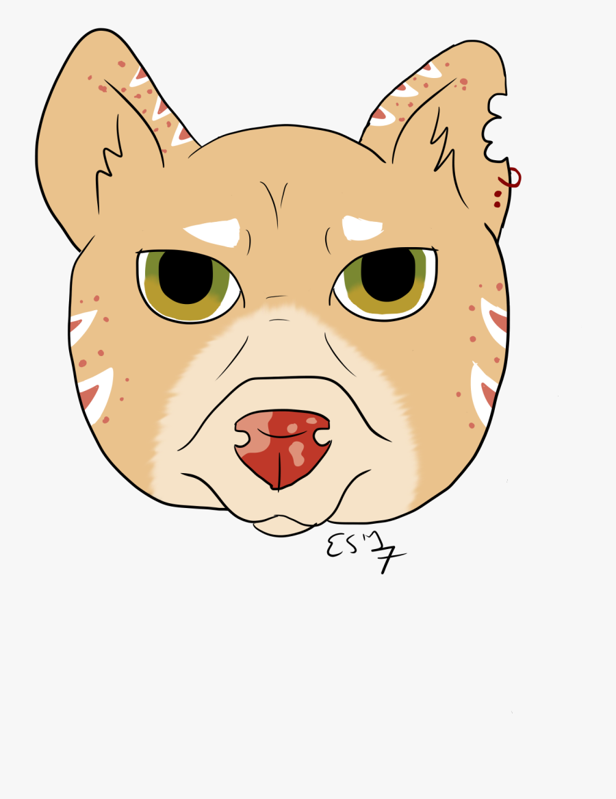 Cookie French Bulldog - Cat Yawns, Transparent Clipart