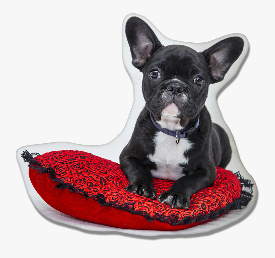French Bulldog Pillow - Bulldog Frances Png, Transparent Clipart