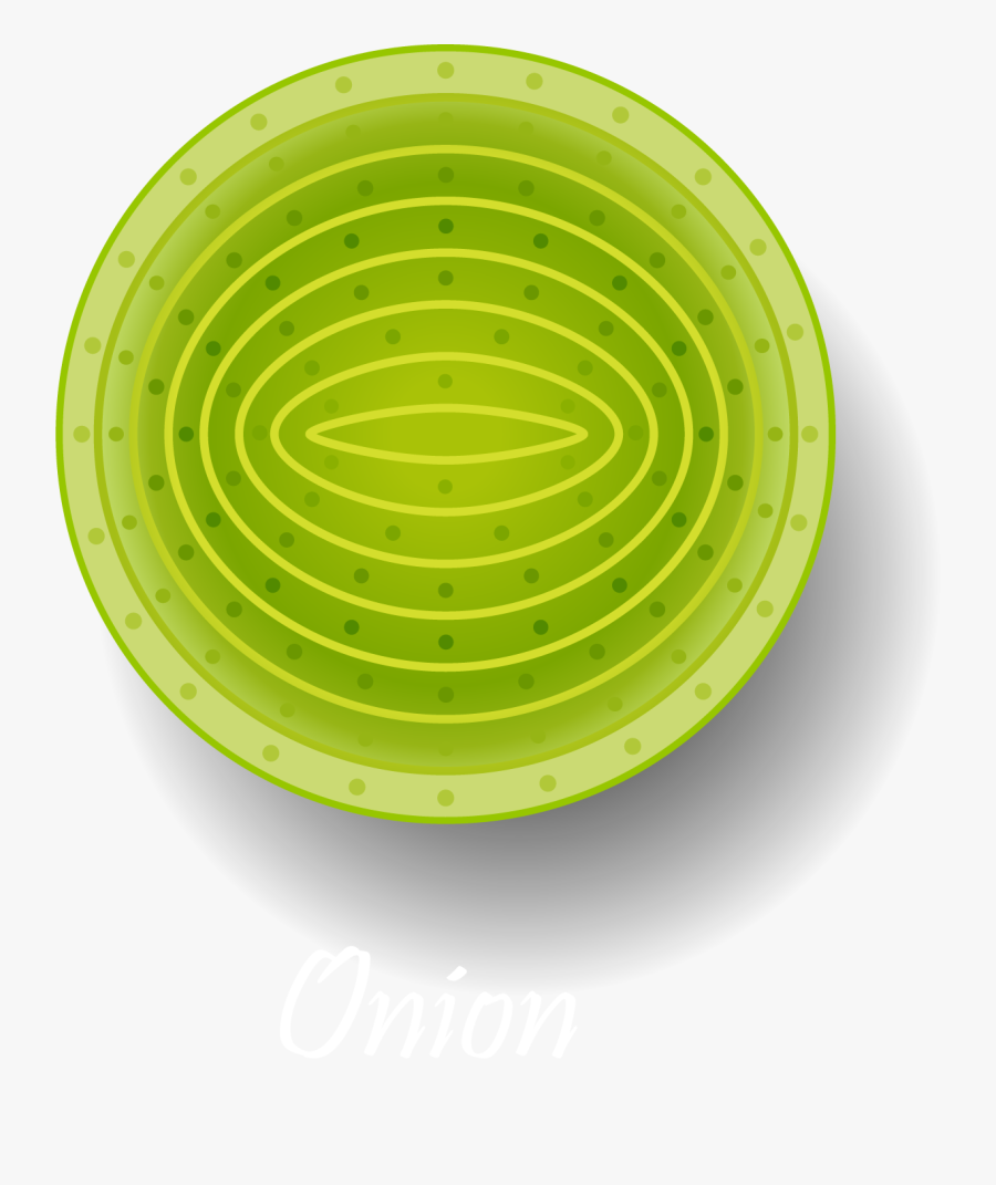 Circle, Transparent Clipart