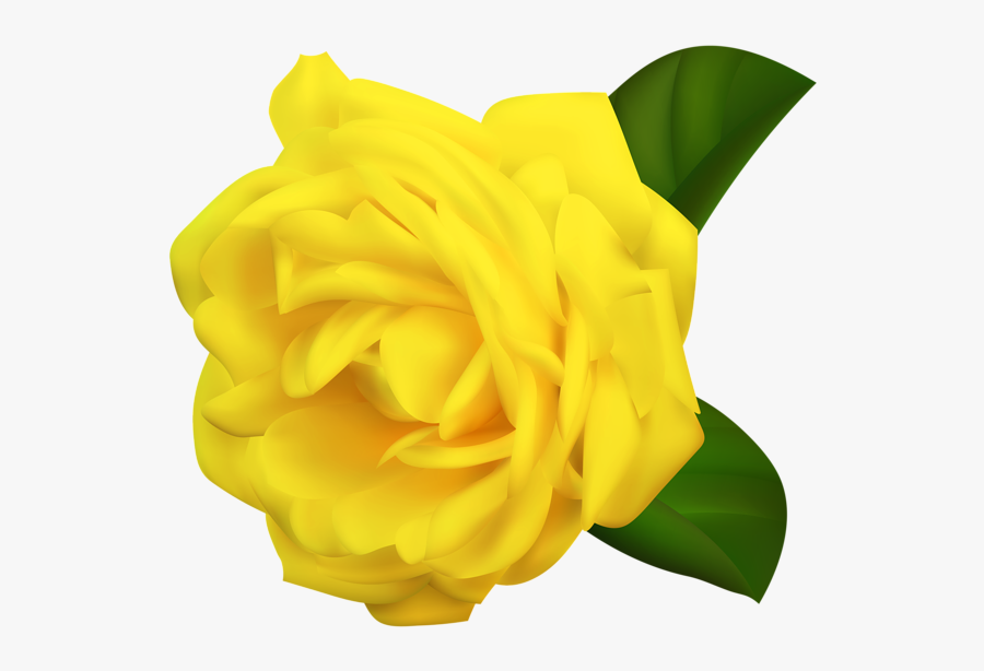 Clip Art - Portable Network Graphics, Transparent Clipart