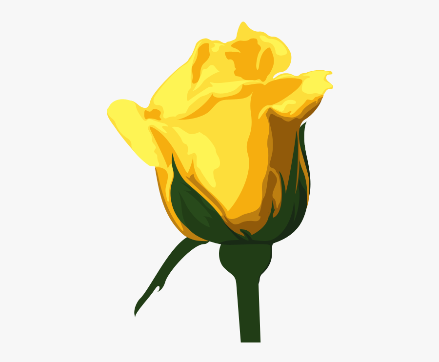 Yellow Roses, Big Full, Popular Stephanie Vincent - Yellow Rose, Transparent Clipart