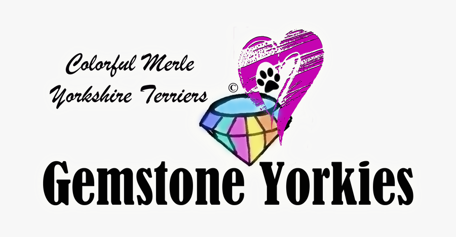 Graphic Design, Transparent Clipart