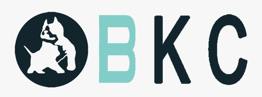 Graphic Design, Transparent Clipart