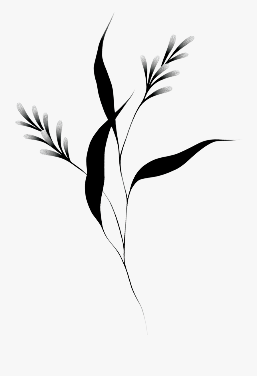 Tattly, Transparent Clipart