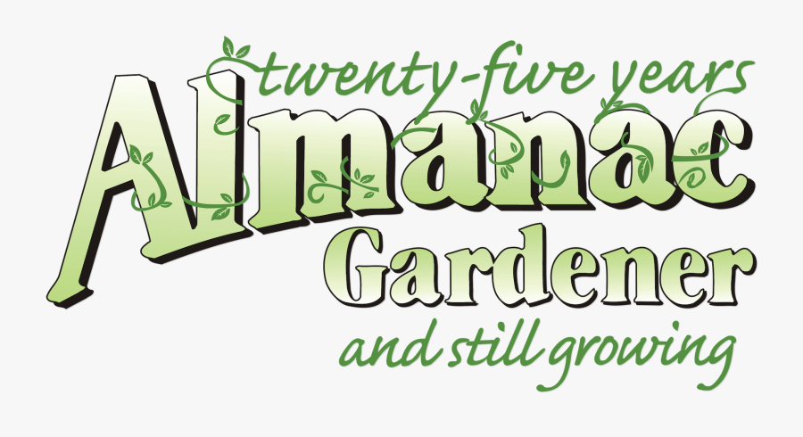 Calligraphy, Transparent Clipart