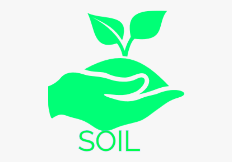 Sprout Of Innovate, Transparent Clipart