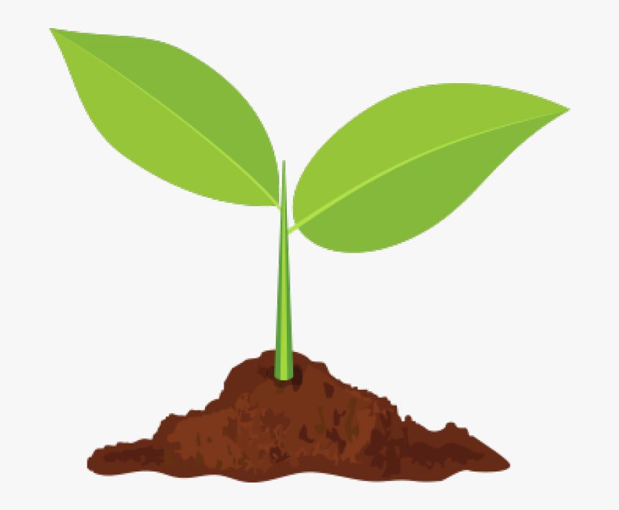Sprout Slider - Illustration, Transparent Clipart