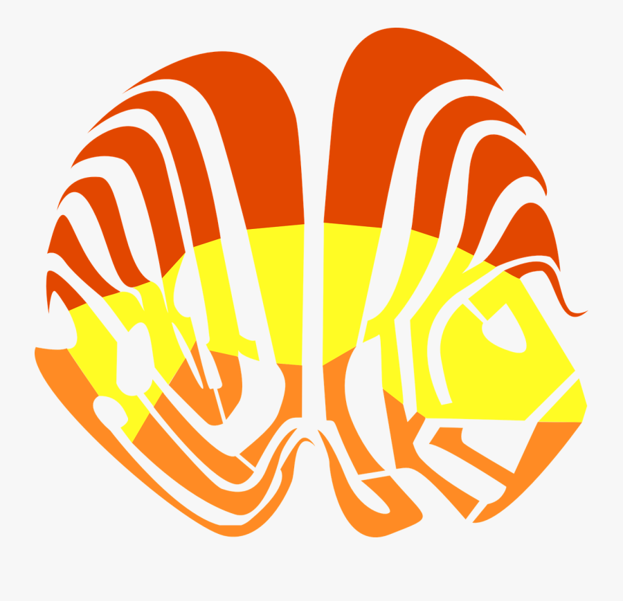 Animal Fish Clam Free Picture - Clip Art, Transparent Clipart