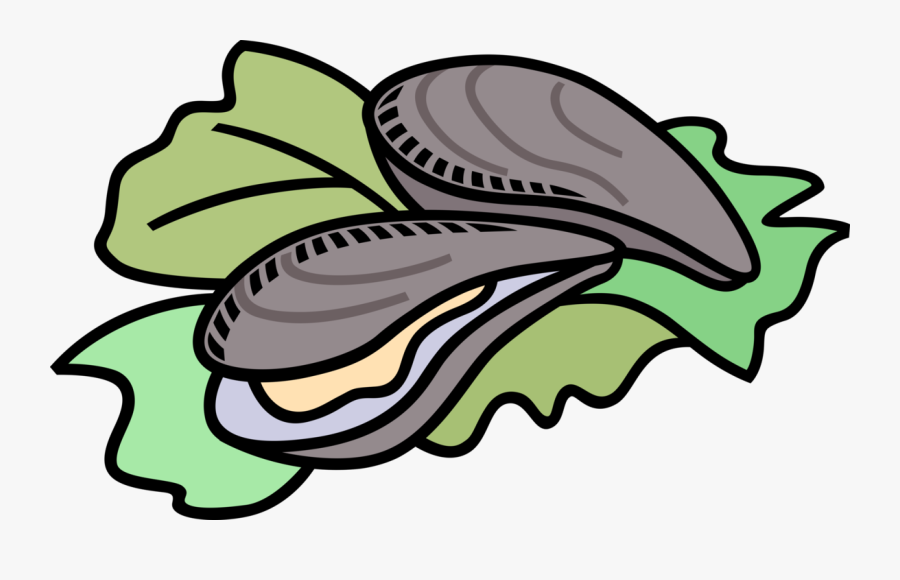 Vector Illustration Of Marine Bivalve Mollusk Shellfish - Oyster Clipart, Transparent Clipart