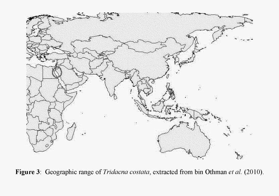 In A Survey Of Giant Clams In The Red Sea, Richter - Map Of Asia 48 Countries, Transparent Clipart