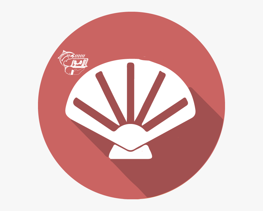 Circle, Transparent Clipart