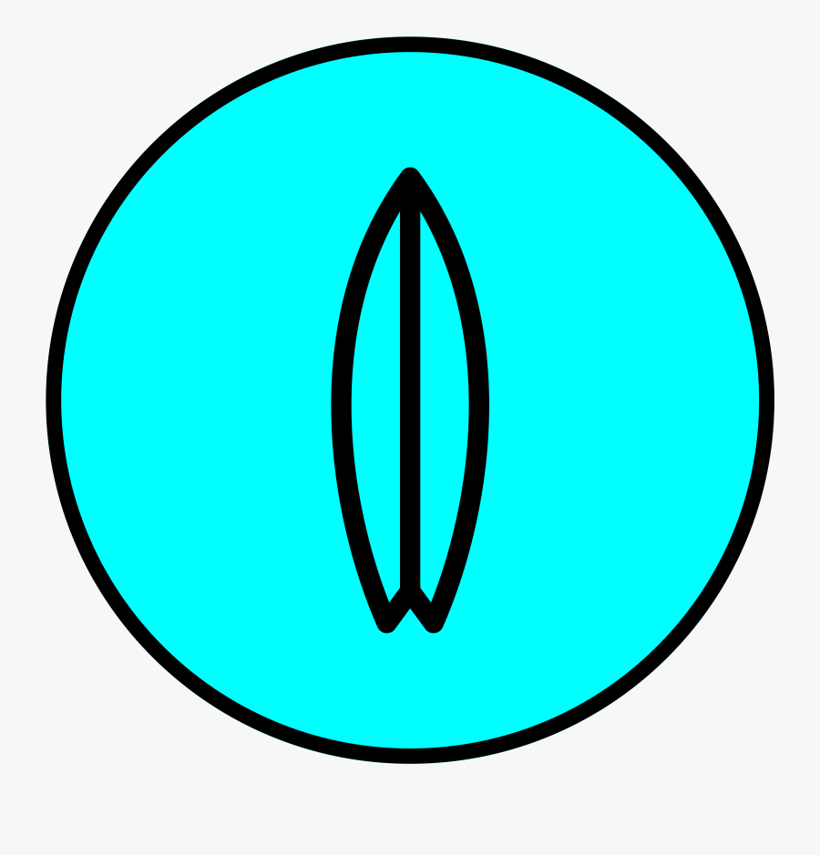 Circle, Transparent Clipart