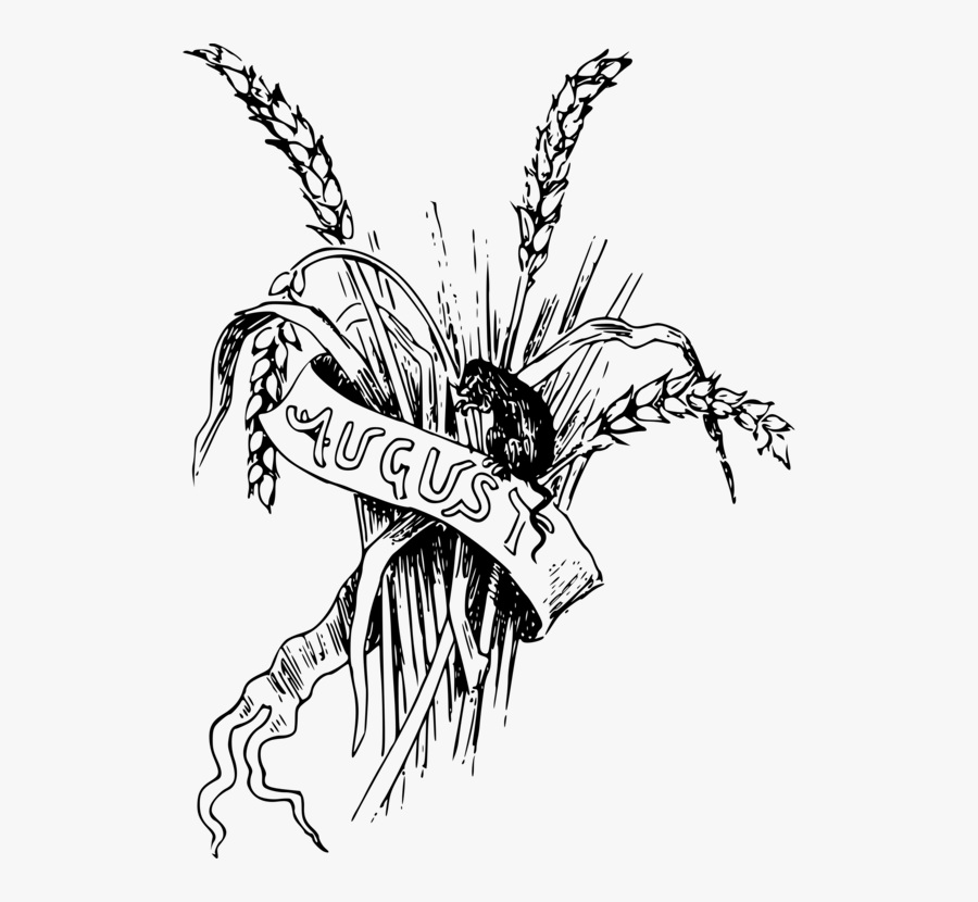 Art,monochrome Photography,pollinator - Illustration, Transparent Clipart